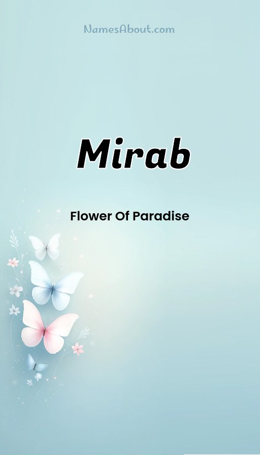 Meaning of Mirab