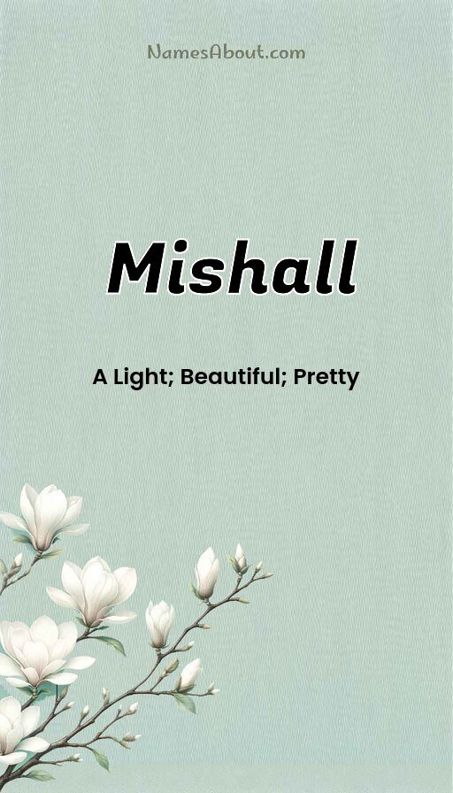 Meaning of Mishall