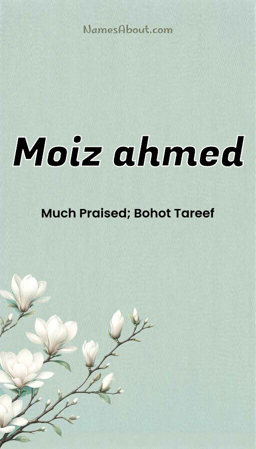 Meaning of Moiz ahmed