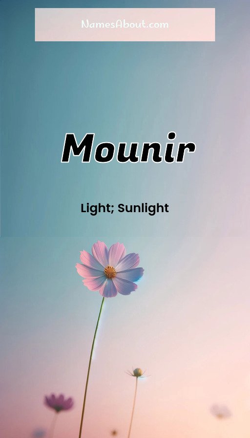 Meaning of Mounir