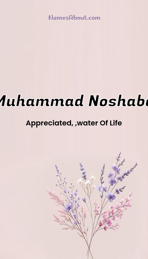 Muhammad Noshaba name and meaning