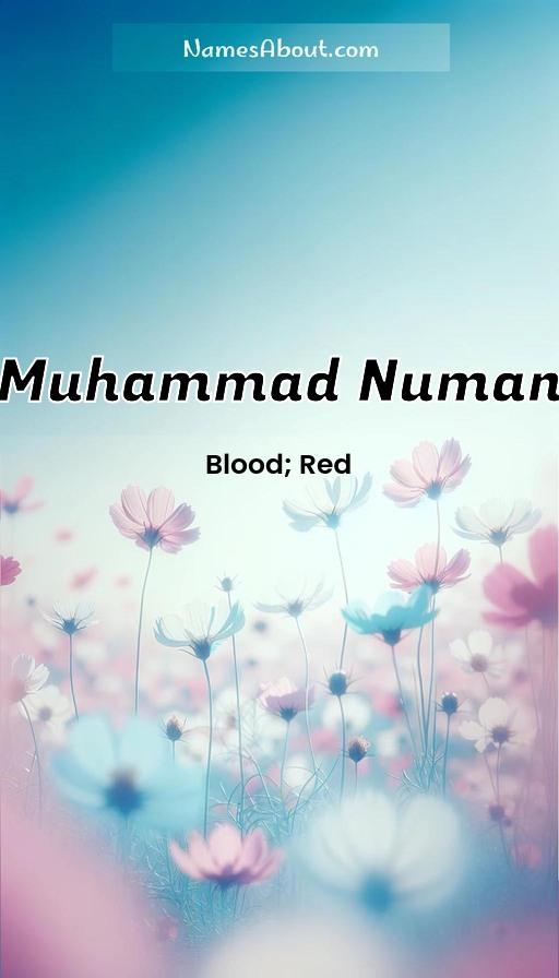 Muhammad Numan name and meaning