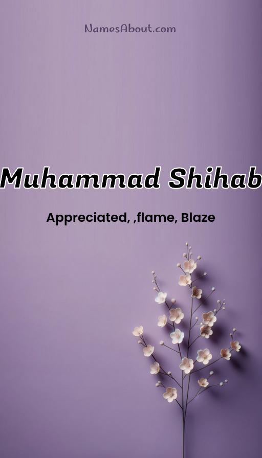 Muhammad Shihab name and meaning