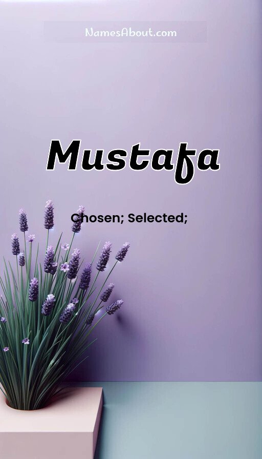 Meaning of Mustafa