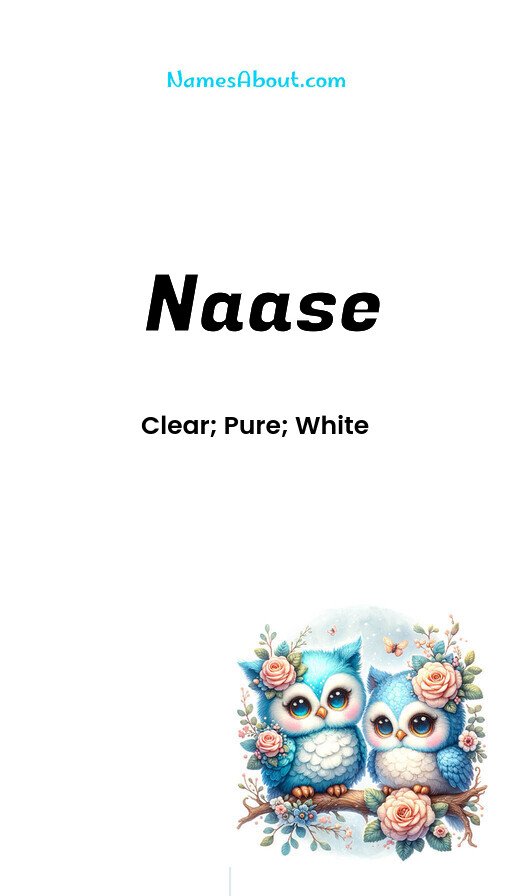 Meaning of Naase