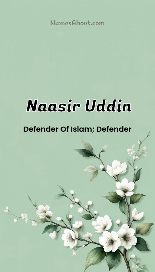 Meaning of Naasir uddin