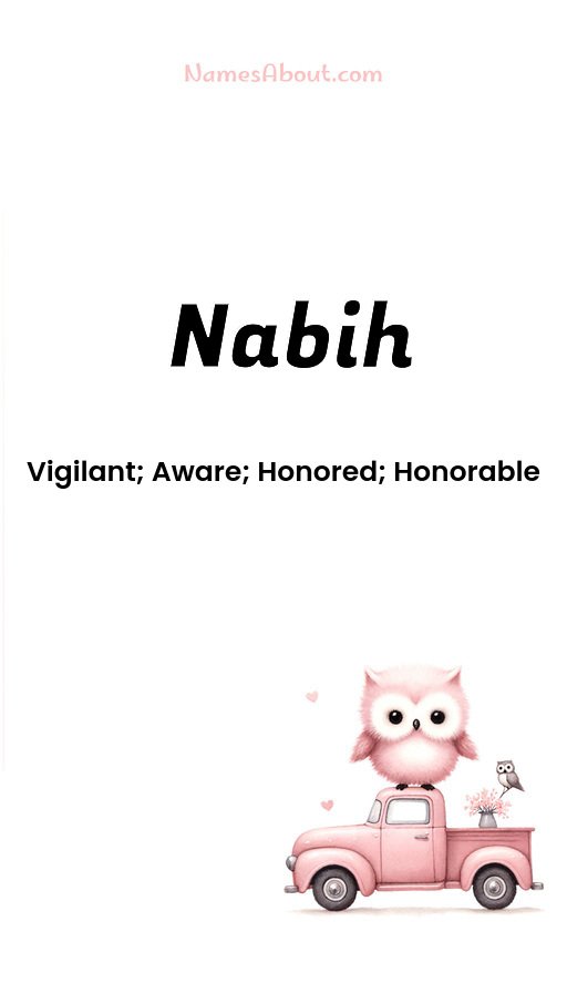 Meaning of Nabih