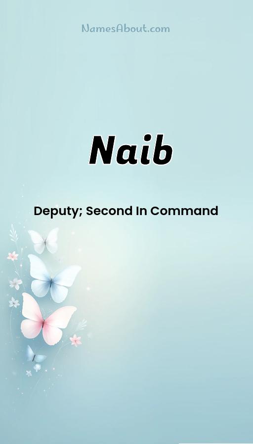 Illustration of Naib