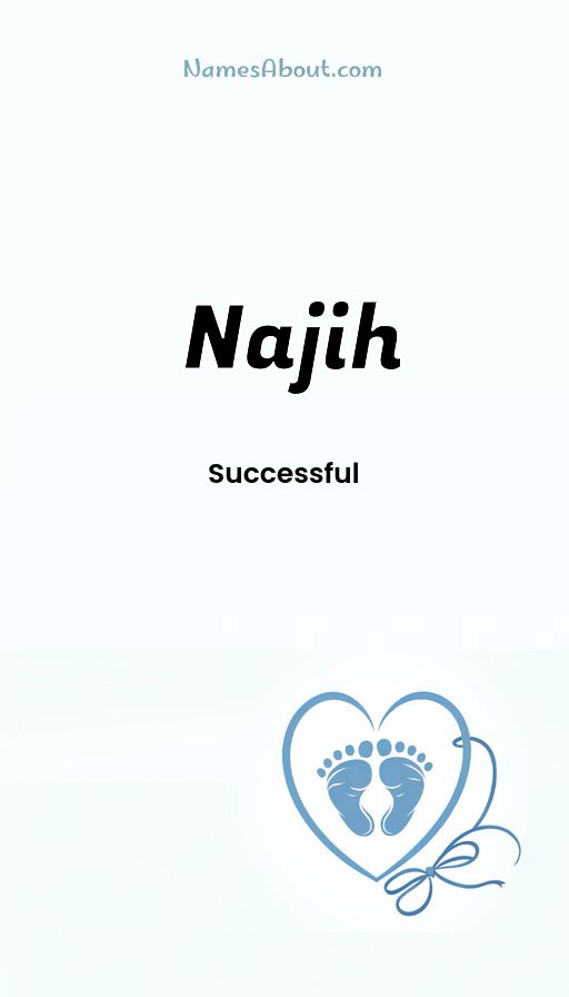 Meaning of Najih