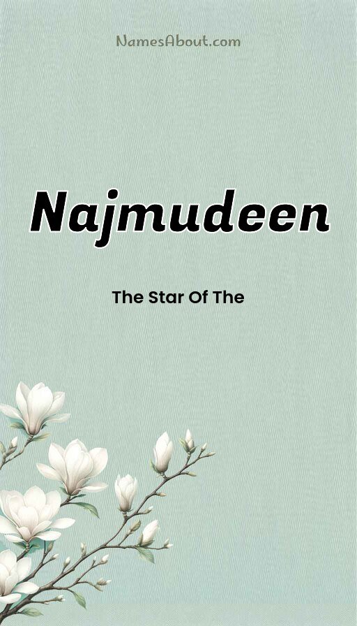 Meaning of Najmudeen