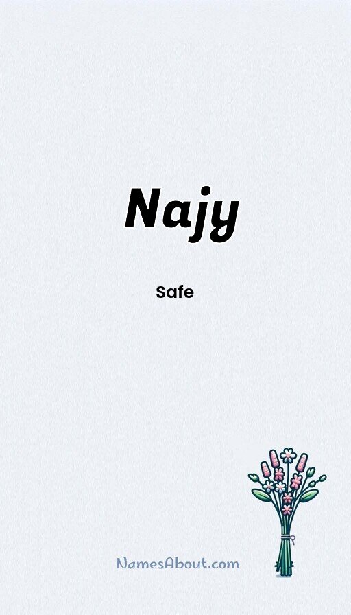 Meaning of Najy