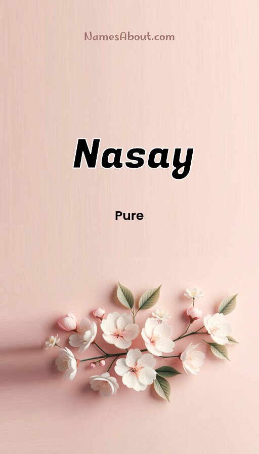 Meaning of Nasay