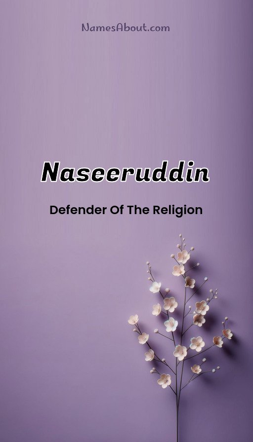 Meaning of Naseeruddin 