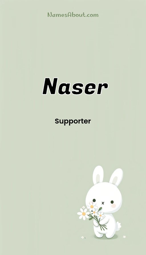 Meaning of Naser