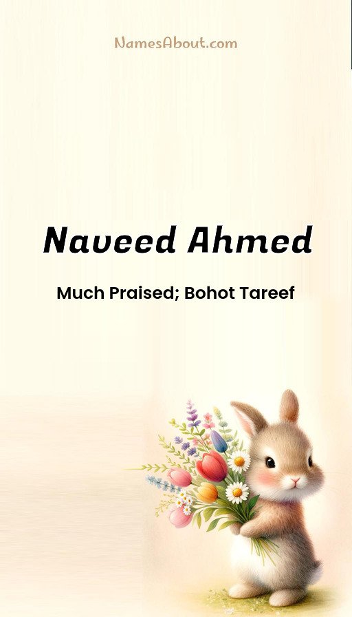 Meaning of Naveed Ahmed