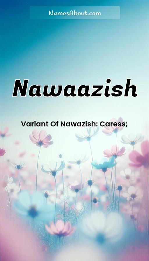 Illustration of Nawaazish