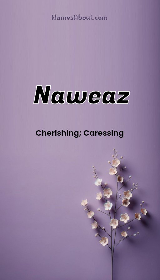 Meaning of Naweaz