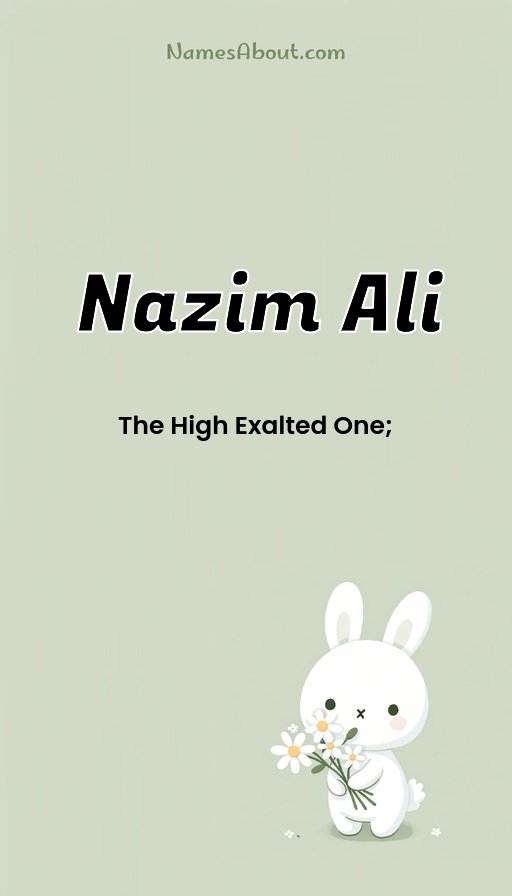Meaning of Nazim ali