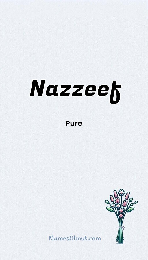 Meaning of Nazzeef