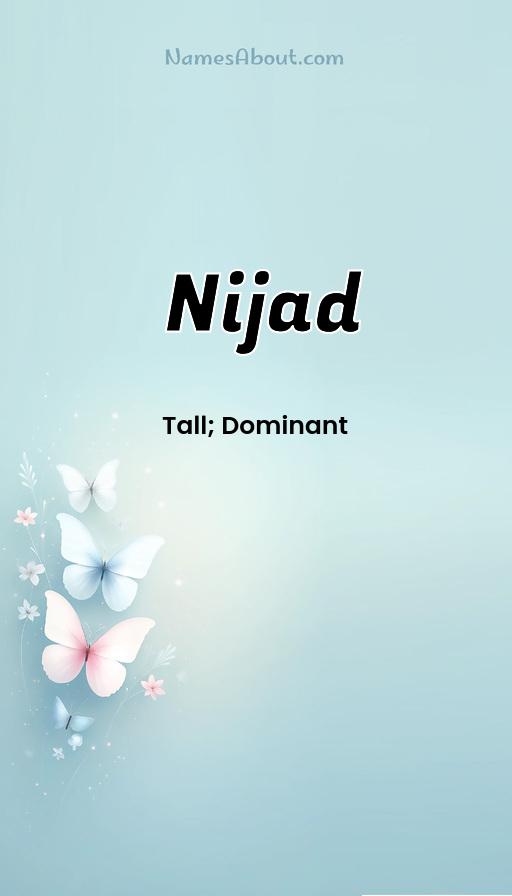 Illustration of Nijad