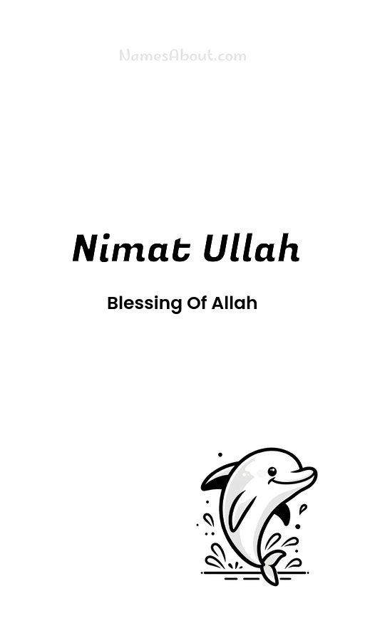 Meaning of Nimat ullah
