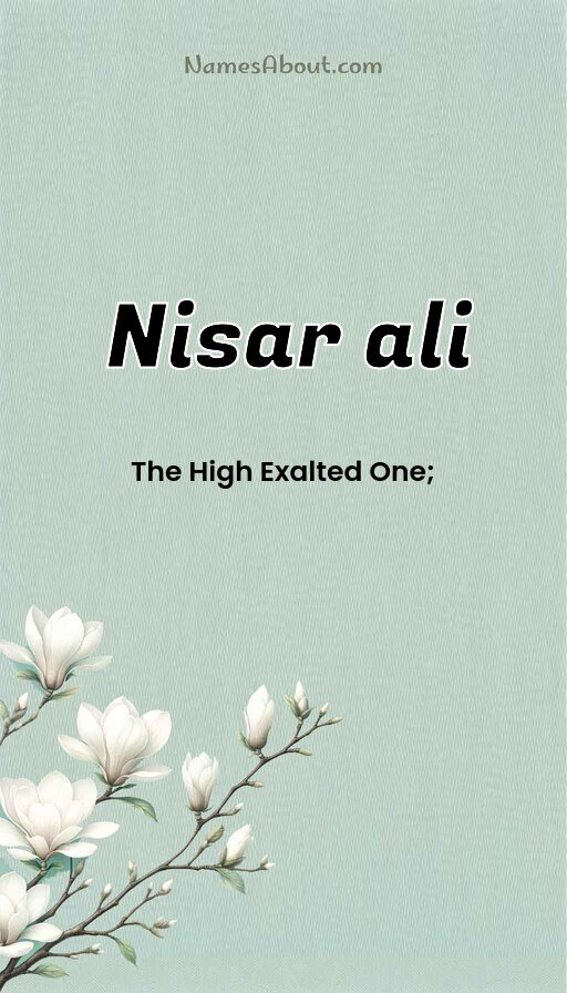 Meaning of Nisar ali