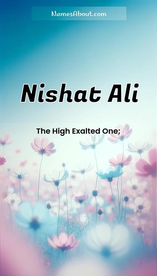 Meaning of Nishat ali