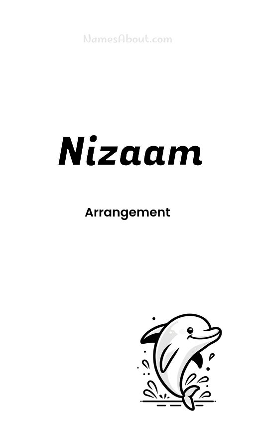 Meaning of Nizaam