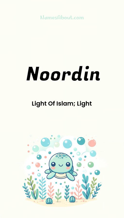 Meaning of Noordin
