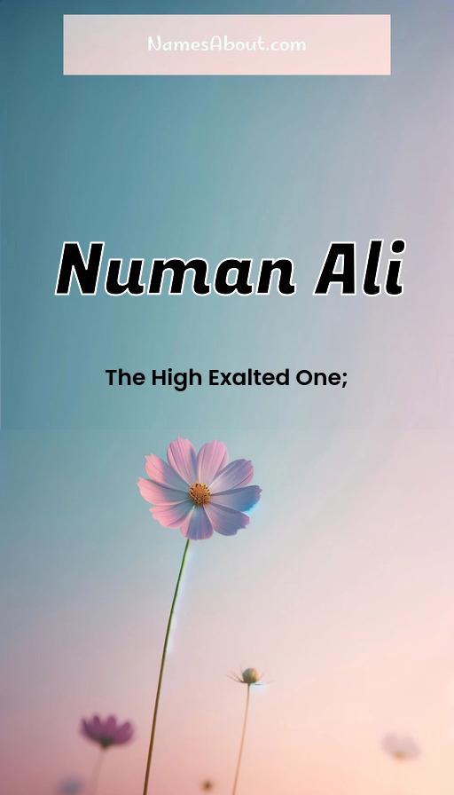 Numan Ali name and meaning