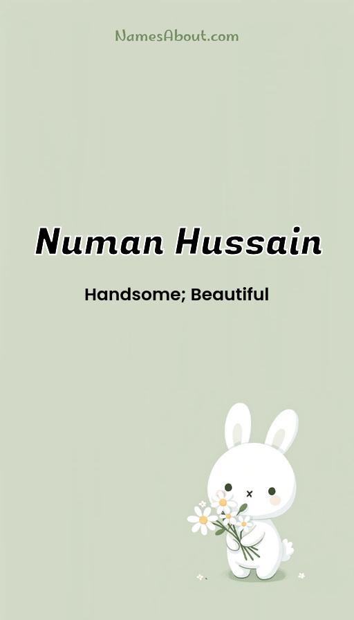 Numan Hussain name and meaning