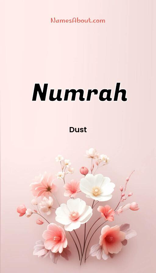 Meaning of Numrah