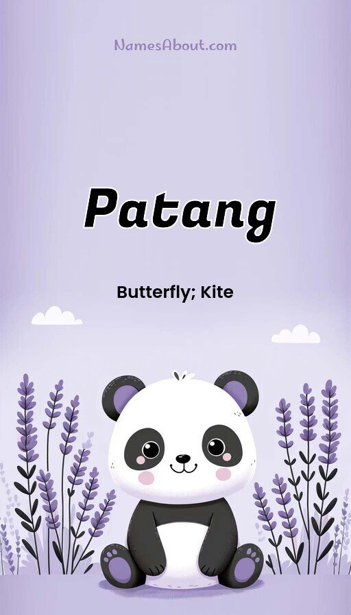 Meaning of Patang