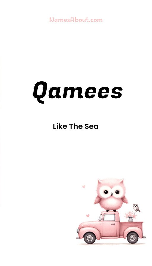 Meaning of Qamees