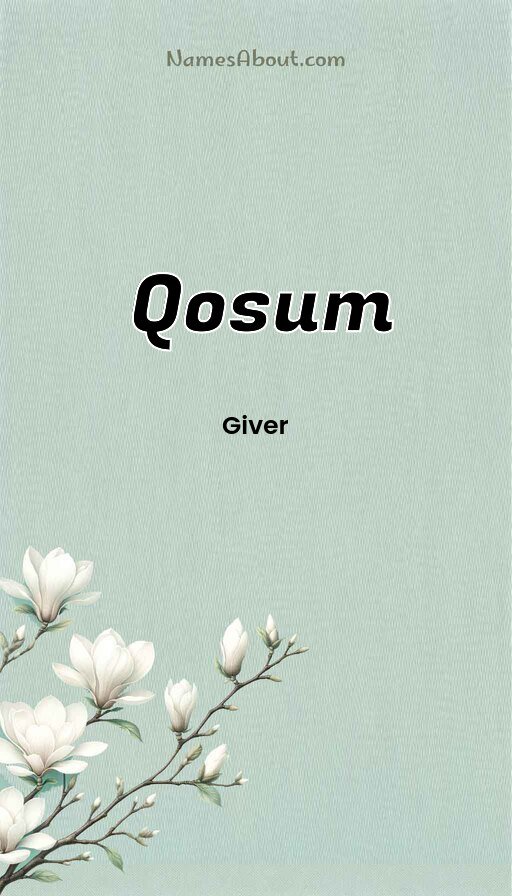 Meaning of Qosum