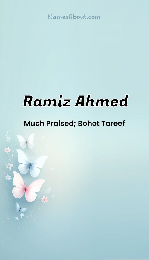 Meaning of Ramiz ahmed