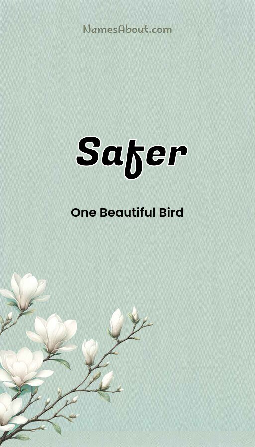 Meaning of Safer