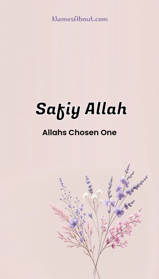 Meaning of Safiy allah