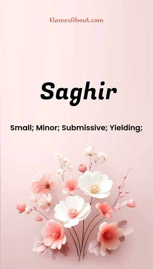 Meaning of Saghir