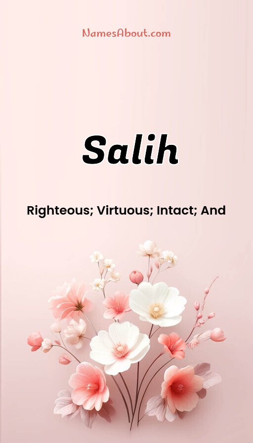 Meaning of Salih