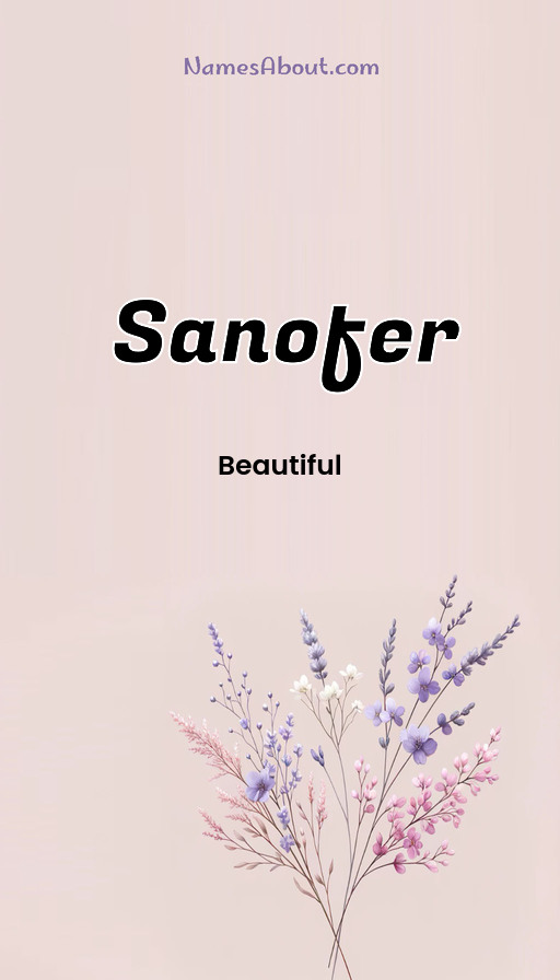 Meaning of Sanofer