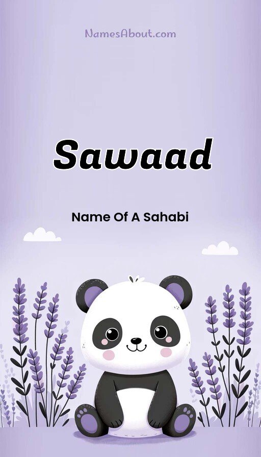 Meaning of Sawaad