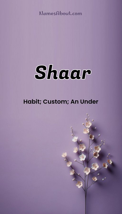 Meaning of Shaar
