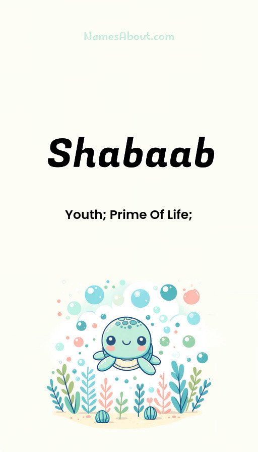 Meaning of Shabaab