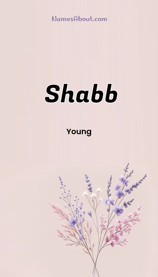 Meaning of Shabb