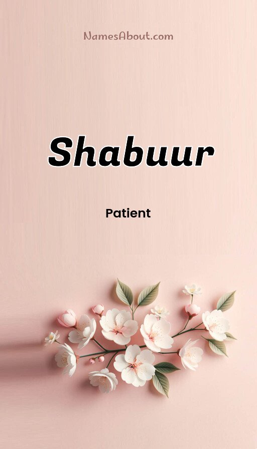 Meaning of Shabuur