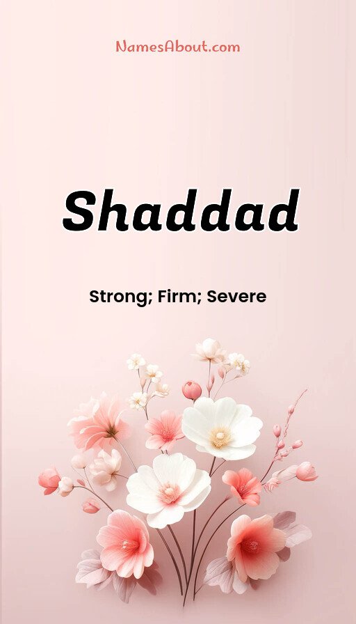 Meaning of Shaddad