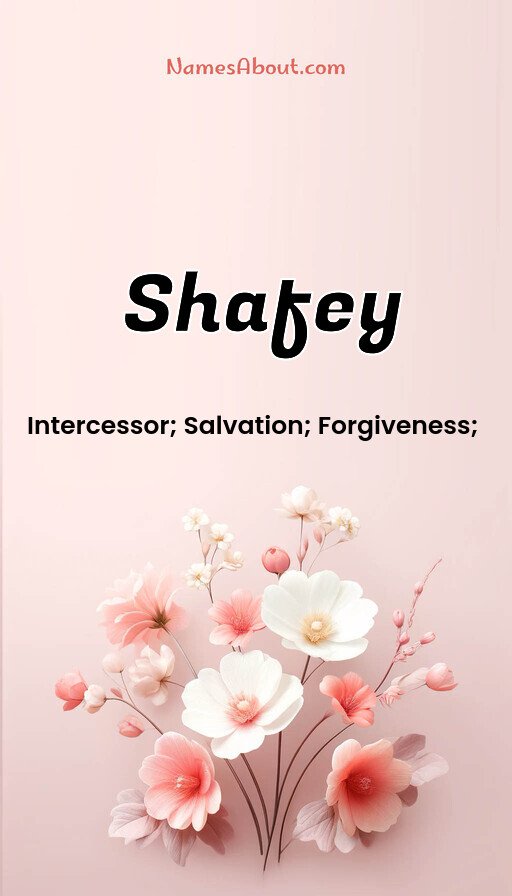 Meaning of Shafey