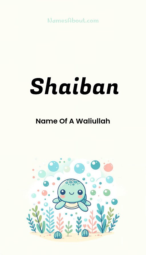 Meaning of Shaiban