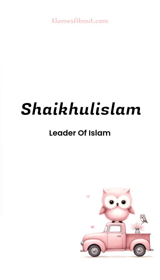 Meaning of Shaikhulislam